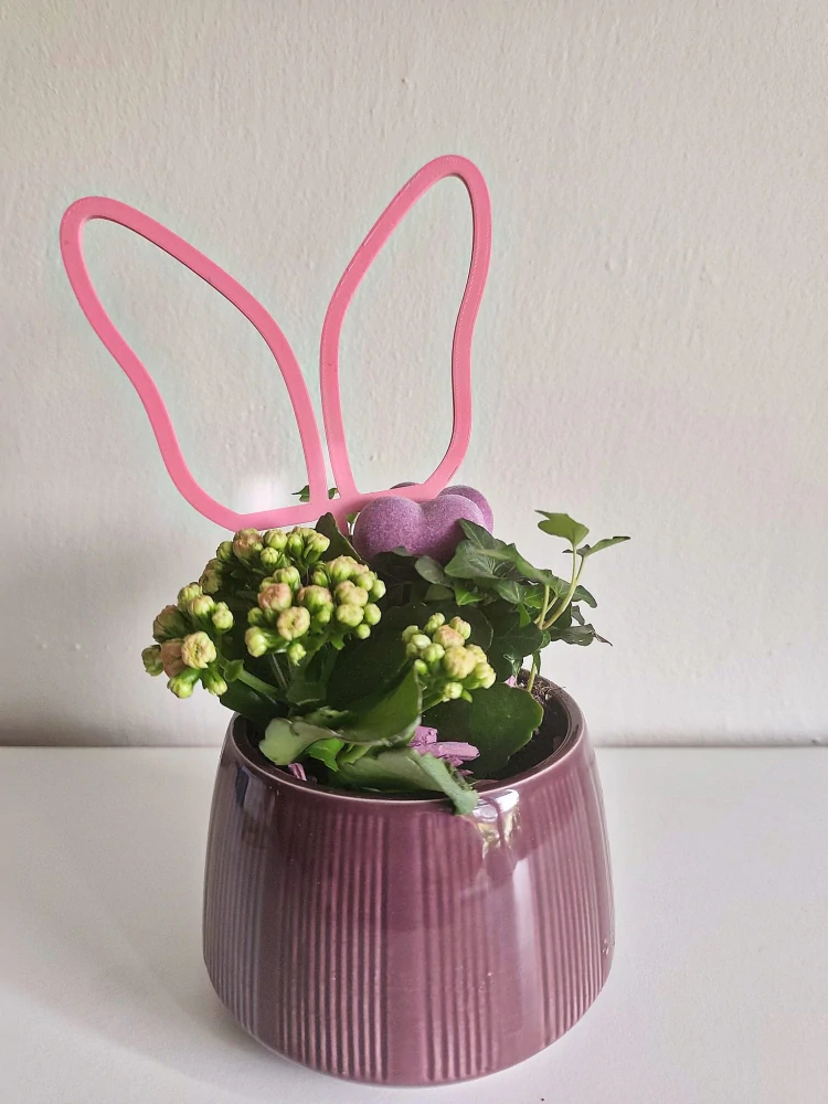 Zápich Zaječí uši / Motýl 18 cm