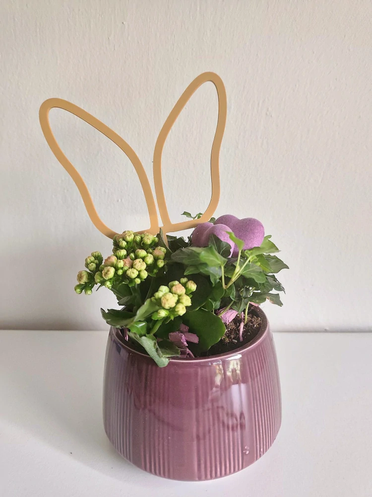 Zápich Zaječí uši / Motýl 25 cm